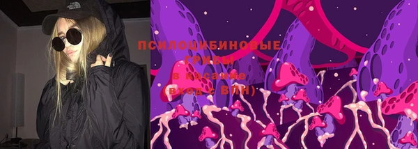 ПСИЛОЦИБИНОВЫЕ ГРИБЫ Баксан