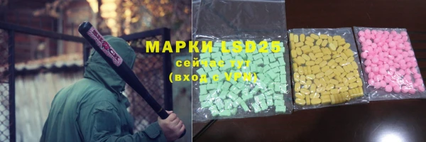 ПСИЛОЦИБИНОВЫЕ ГРИБЫ Баксан