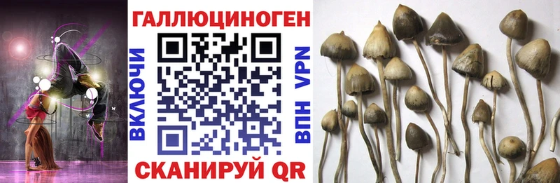Псилоцибиновые грибы MAGIC MUSHROOMS  Купить  Стрежевой 
